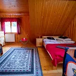 Tatil Evi Nad Potokiem W Gorach *